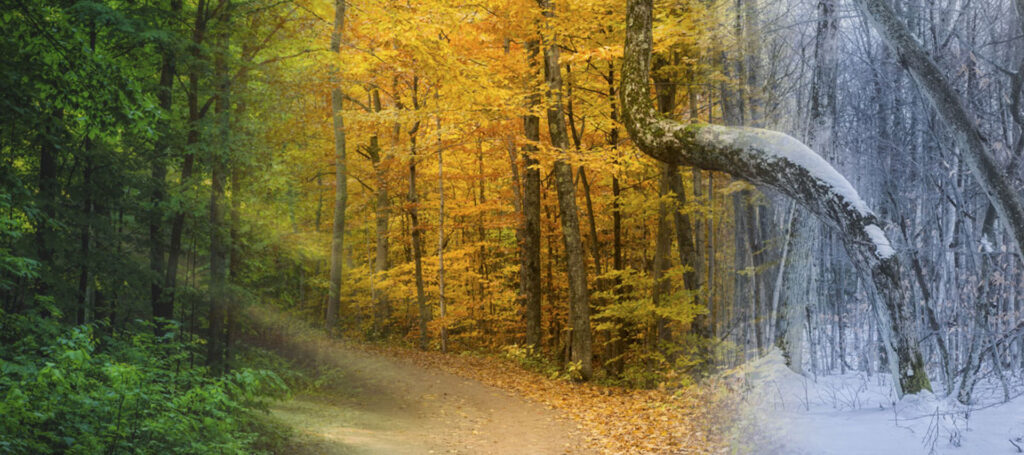 Seasonal-Affective-Disorder-Vitamin-D-and-Depression